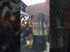 12 Modül Tek Helikal Şanzıman 76 Dönüştürme Kutusu için Diş