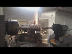 395mm Tip Diameter Solucan Çubuğu ve Solucan Donanımı 0.2Kg Ağırlıkta